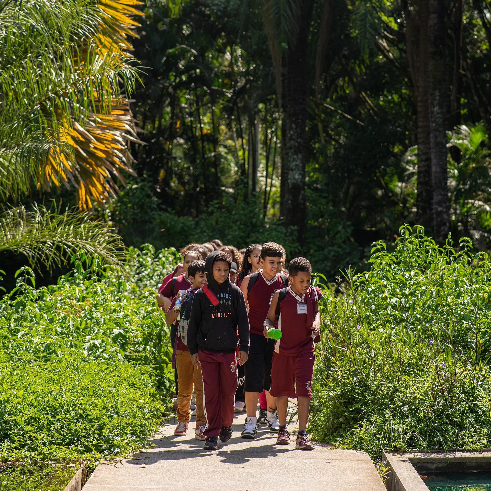 O Inhotim para Todos oferece transporte, ingressos e formação para escolas públicas e organizações de interesse público em 2026. Foto: Brendon Campos.