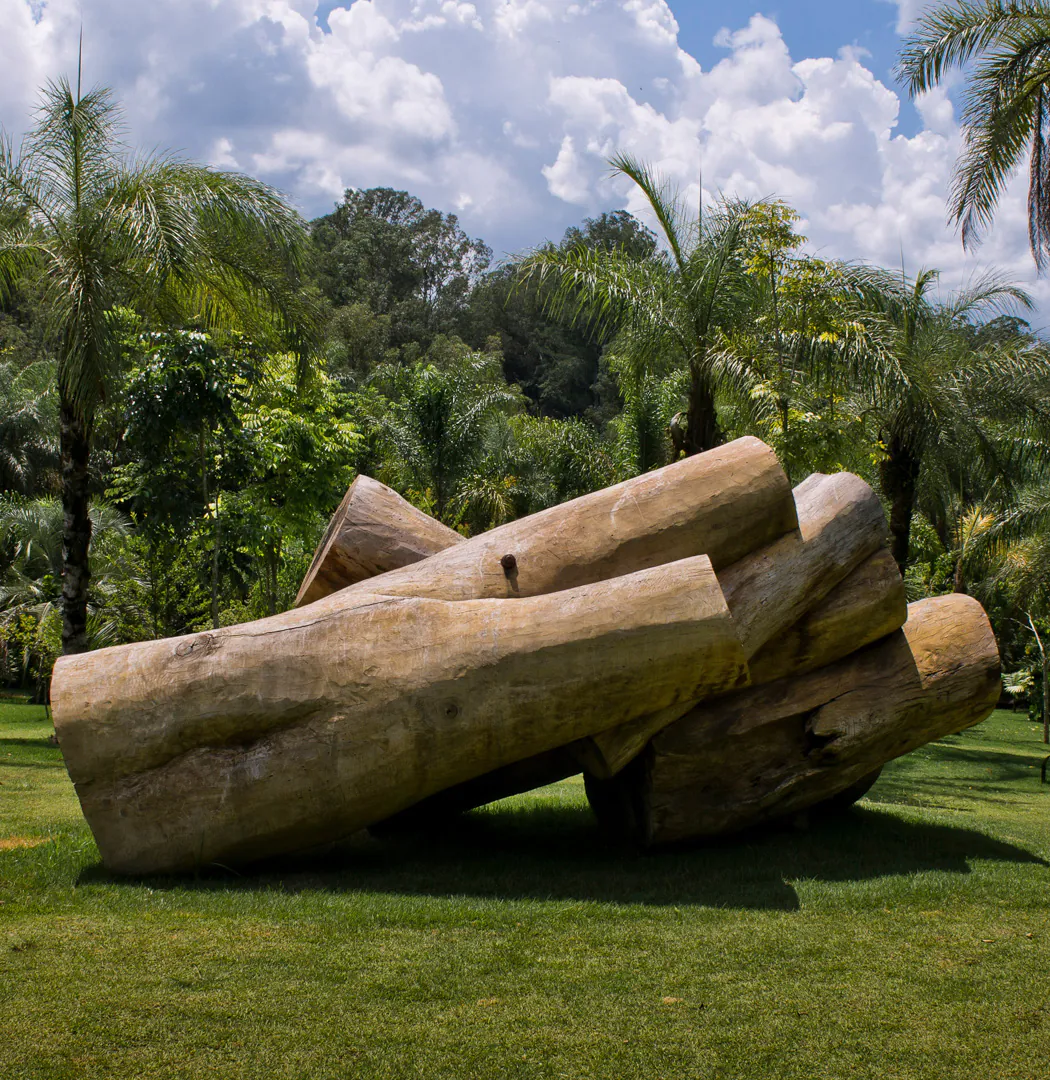 inhotim embrionario equilibrio armado elisa bracher 1 HOME 1050x1080